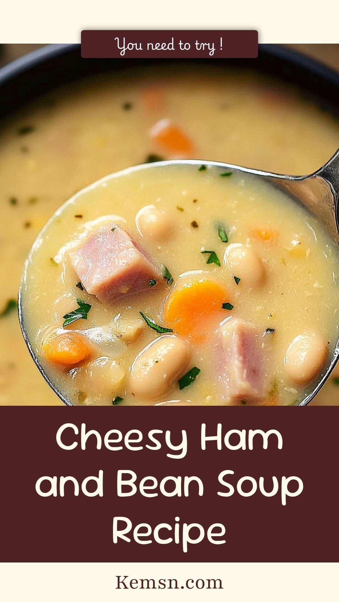 Cheesy Ham and Bean Soup Recipe