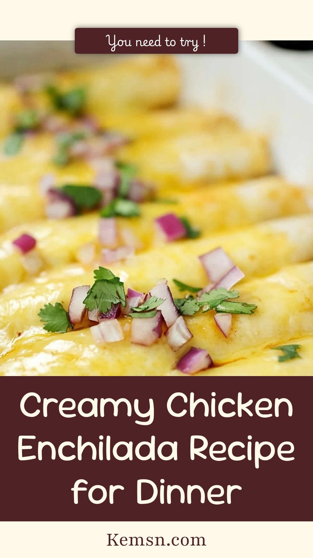 Creamy Chicken Enchilada Recipe for Dinner