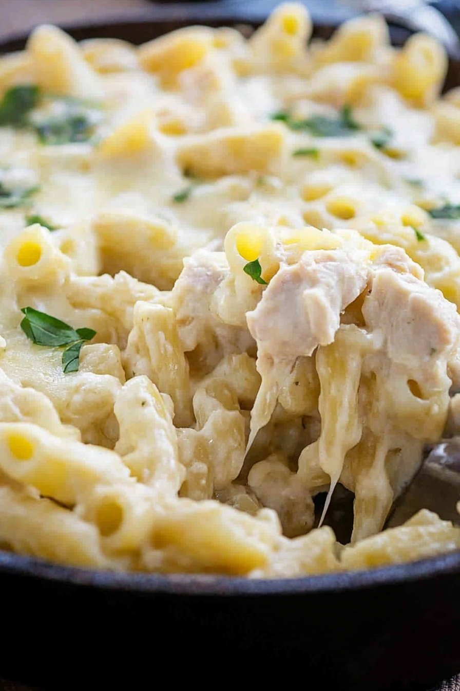 Easy Chicken Alfredo Pasta Casserole Recipe