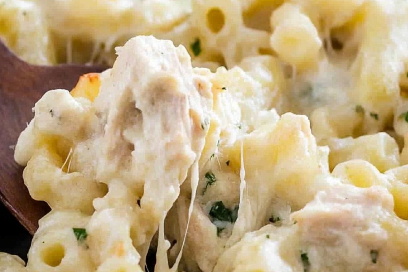Easy Chicken Alfredo Pasta Casserole Recipe