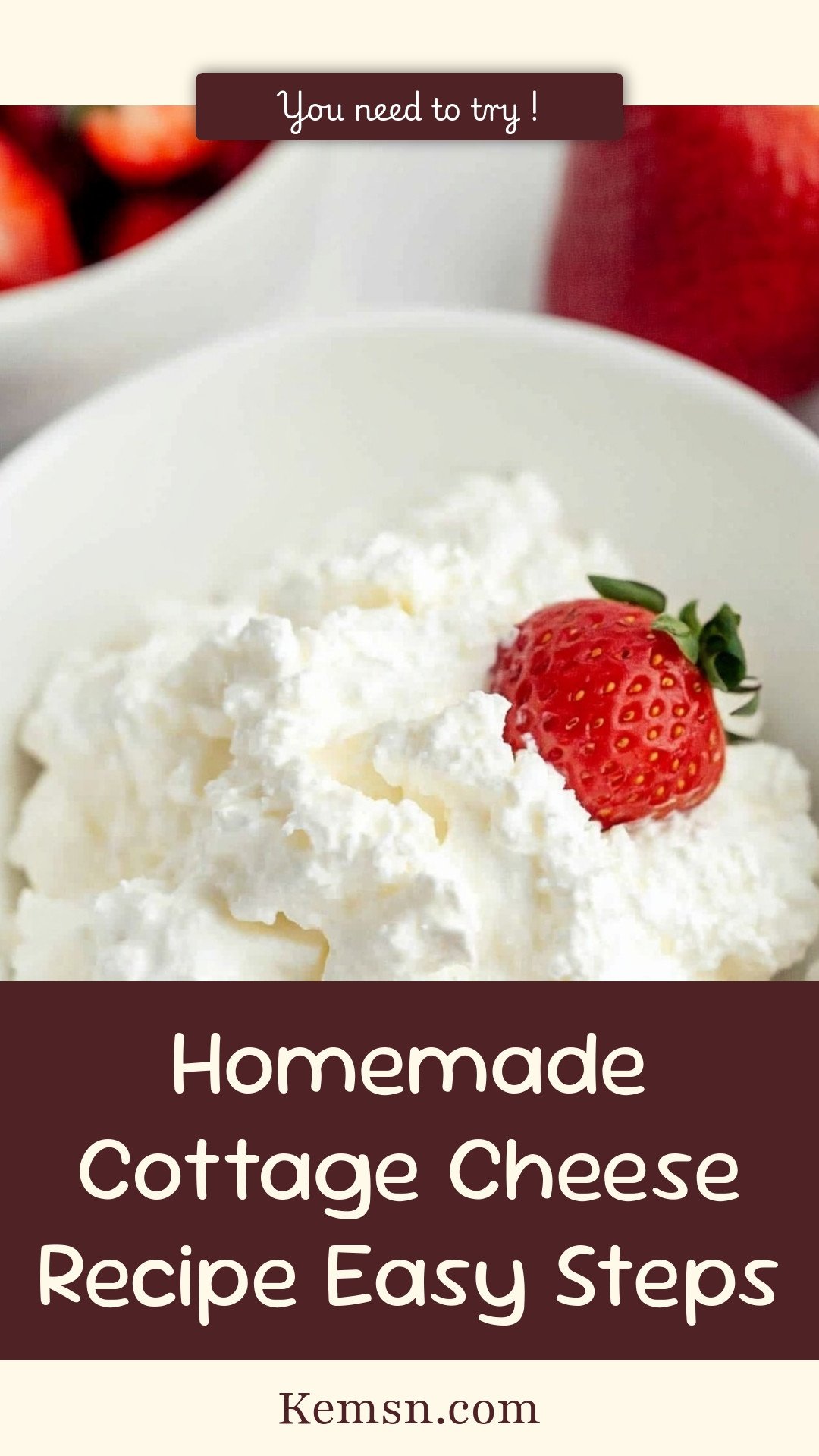 Homemade Cottage Cheese Recipe Easy Steps