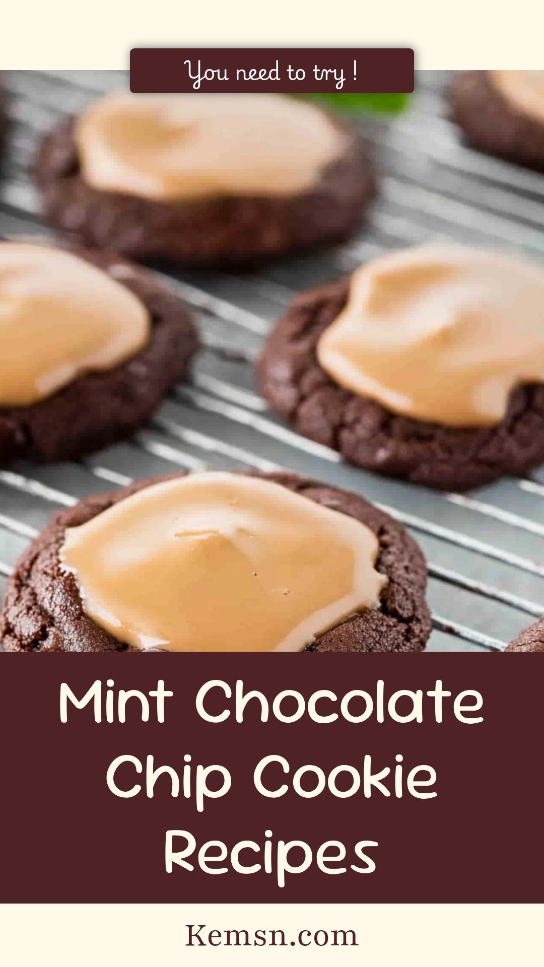 Mint Chocolate Chip Cookie Recipes