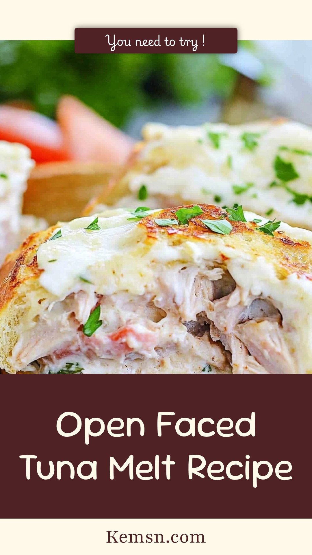 Open Faced Tuna Melt Recipe